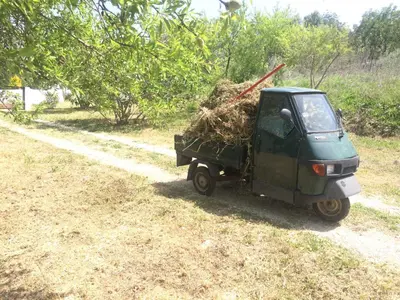a small green truck filled with hay on a dirt road at B&B Casa Encantada in Boliqueime