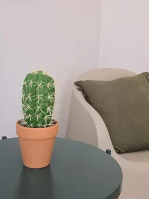 a cactus sitting on a table next to a bed at Casa Alfazema in Faro
