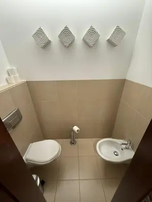 a bathroom with a toilet and a sink at Herdade dos Salgados in Guia