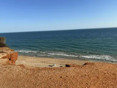 a pine tree on a sandy beach near the ocean at Vivenda Alfamar 2120 - 180m da praia in Albufeira