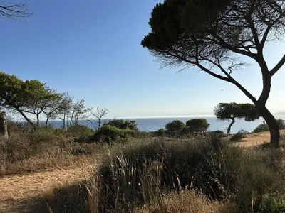 a view of the ocean from a rocky beach at Vivenda Alfamar 2120 - 180m da praia in Albufeira