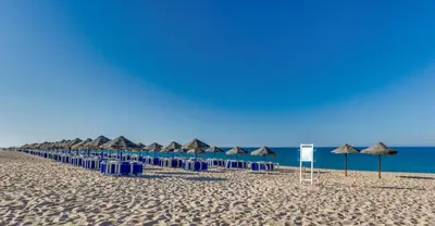 a row of chairs and umbrellas on a beach at Dunas Douradas Beach Club in Vale do Lobo