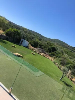 a green field with animals laying on the grass at Maison entière 10-12 personnes à Goldra de çima Loulé in Loulé