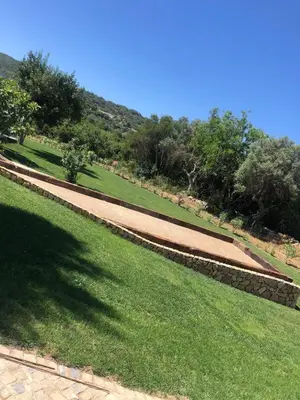 a row of crops in a grassy field at Maison entière 10-12 personnes à Goldra de çima Loulé in Loulé