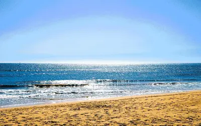 a beach with a view of the ocean at Encanto da Ria in Faro