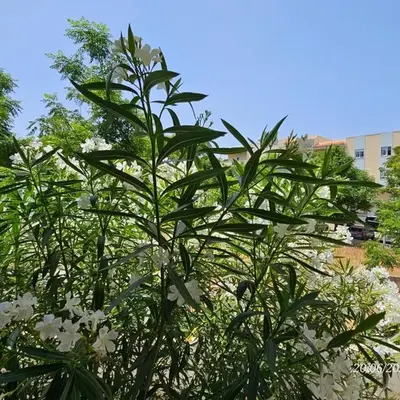Blife Candya private apartment