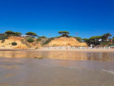 a beach with trees in the background and the water at A Casa da Ana - By Algarkasa in Albufeira