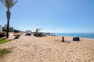 a sandy beach with a palm tree and the ocean at Paraná in Quarteira