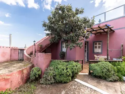 a pink house with a tree in the yard at Akivillas Loulé Holiday in Espargal