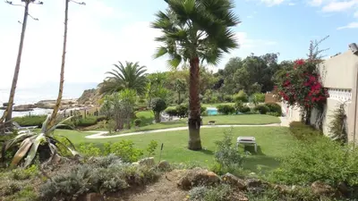 a garden with a palm tree and the ocean at Fantastic Apartment On The Beach in Albufeira