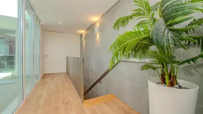 a hallway with a plant in a white pot at Central Vilamoura Casa A in Quarteira