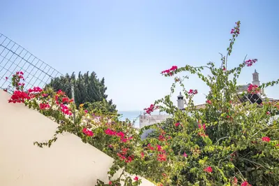 a bunch of flowers on the side of a wall at Charming Old Town 1BR 50m from Beach AC Wi-Fi Parking in Albufeira