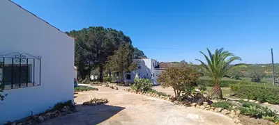 a yard with a house and a palm tree at Quinta do Lagar - 01 in Albufeira
