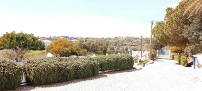 a street with a row of bushes and trees at Quinta do Lagar - 02 in Albufeira