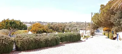 a street with a row of bushes and trees at Quinta do Lagar - 06 in Albufeira