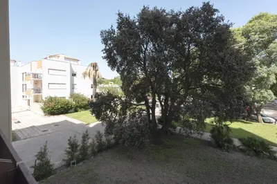 a tree in a yard next to a building at Maya Vilamoura - City center by HD PROPERTIES in Vilamoura