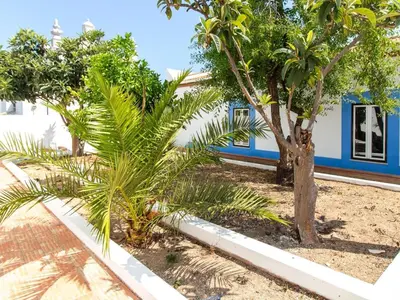 a palm tree next to a blue and white building at Casa Algarvia Senhorial by Stay ici Algarve Holiday Rental in Albufeira