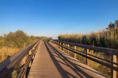 a wooden boardwalk in the middle of a field at Dunes Apartment - Near the Beach in Guia