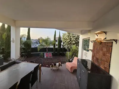 a dog is standing on a patio with a table at Casa Madalena in Albufeira