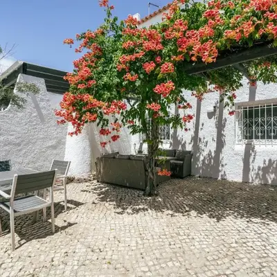 Sunny Patio Retreat