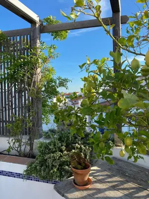 a tree in a pot sitting on a porch at The Lemon Tree House by IntiHolidays in Boliqueime