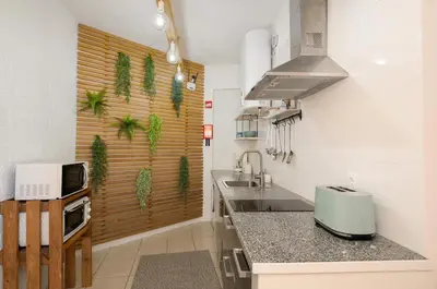 a kitchen with a sink and a counter with plants on the wall at Studio 39 Downtown in Faro