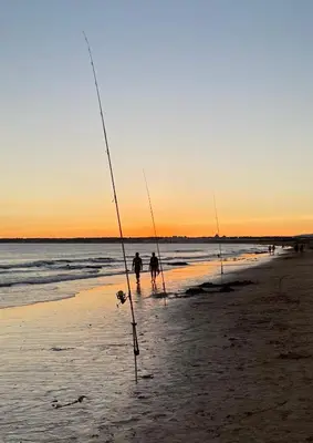 two people fishing on the beach at sunset at Apartamento Vista Piscina in Guia