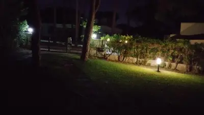 a park at night with a light in the grass at Villapinheiros in Vilamoura