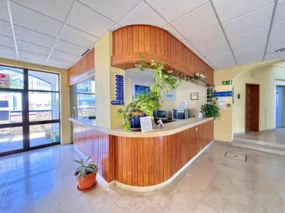 an office lobby with a reception counter with plants at Albufeira Vintage Apartment 2 With Pool by Homing in Albufeira