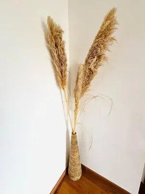 a vase with some dried grass in a room at Faro Family Apartment in Faro