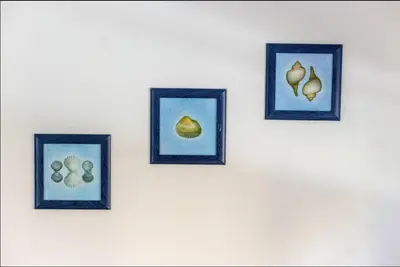 four pictures of seashells on a white wall at Blife Lucelya private rooms at Faro beach in Faro