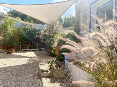 a garden with plants on the side of a house at Holiday Home Vila Verão Nur für Erwachsene by Interhome in Santa Bárbara de Nexe