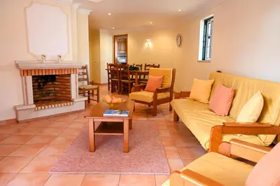 a living room with a couch and a fireplace at Villa Simões by Delilah Collection in Albufeira