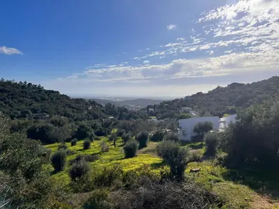 a hillside with a white house in a field of flowers at Quinta Do Olival - Casa Figueira - Calm & wellness in São Brás de Alportel