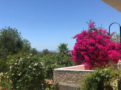 a bush of pink flowers in a garden at Casa Olivier in Loulé