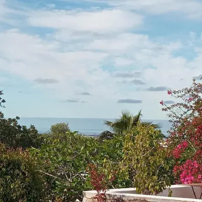 a view of the ocean from a garden with trees at Casa Olivier in Loulé