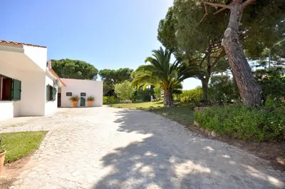 a cobblestone driveway with trees and a house at Casa da Palmeira in Quarteira