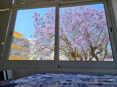 a rendering of a rendering of a building at Blife Farensya private apartment in Faro