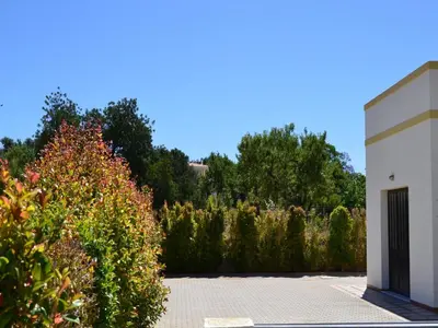 a garden with a bunch of plants and a building at Apartamentos Casa Brito, Boliqueime by AlgarveBlossom in Boliqueime