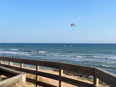 a bird flying over the ocean on a beach at Casa Oura Praia located 100 metres from the beach in Albufeira