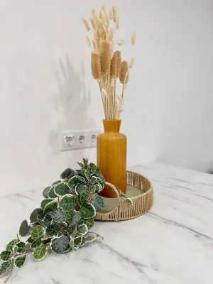 a vase with a plant on a table at Sunrise Apartment in Albufeira