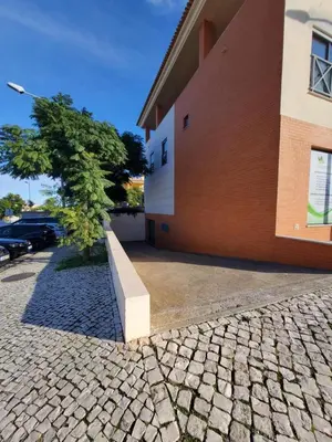 a tree sits in front of a building at Corcovada Dream Apartment in Albufeira