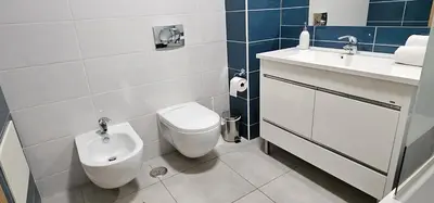 a bathroom with a toilet and a sink at Vitismar II com piscina, jardim e garagem in Guia