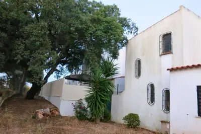 an old white building with a tree next to it at Casa das Flores in Albufeira