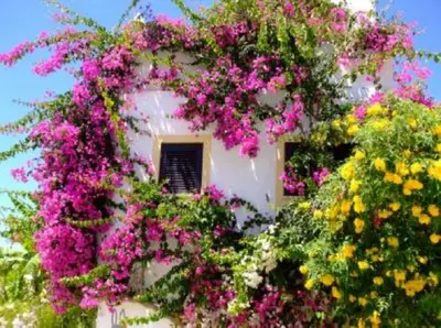 a building with a bunch of flowers on it at Casa Portuguesa in Albufeira