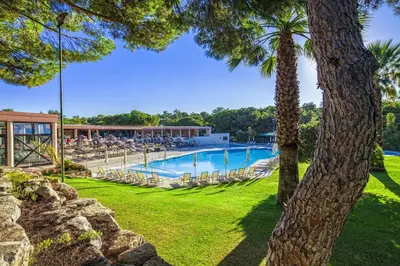 a resort pool with chairs and a palm tree at Vilar do Golf in Quinta do Lago