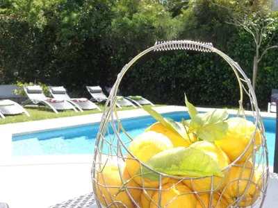 a basket of oranges sitting next to a pool at Strip by Check-in Portugal in Albufeira