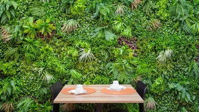 a table in front of a green wall at Hotel Made inn Faro in Faro