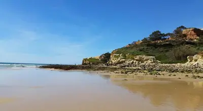 a beach with a bunch of birds sitting on the sand at Vista das Ondas - AP in Albufeira