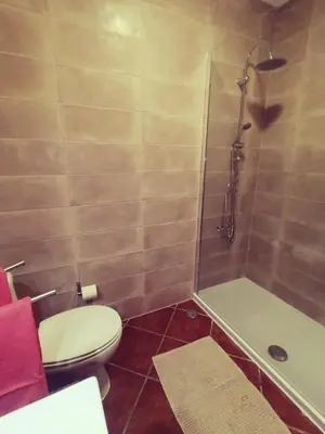 a bathroom with a toilet and a shower at Apartamento S. Luis in Faro